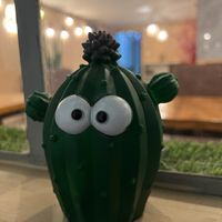   at Yurakuna in Arequipa