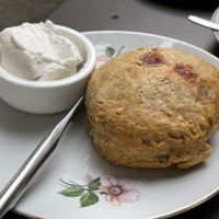 Scone at KLUTS in Utrecht
