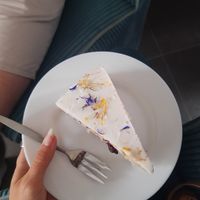 Blueberry citroen at KLUTS in Utrecht