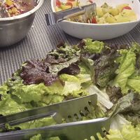 Buffet de salada at Alternativa Casa do Natural in Sao Paulo