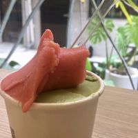 Dahu strawberry vegan sorbet and coriander and peanut vegan ice cream  at Full House in Tainan