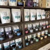   at Rockin' Cat Organic Coffee & Tea in Pittsburgh