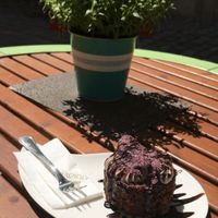 Vegan banana chocolate cupcake at Kaspar Hauser in Ansbach