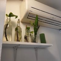  at Bwa Delice in Saint Denis