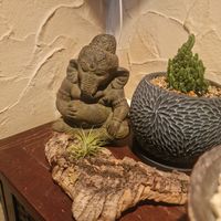  at Vegan Sushi Kyoto in Kyoto