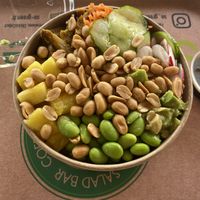 Soy protein bowl with peanuts and sweet soy saucee  at SO Green in Nice