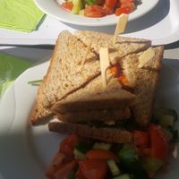 Vegan sandwich at SO Green in Nice