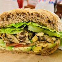 Vegan Sandwich on Wheat  at Galapagos Deli in Puerto Ayora