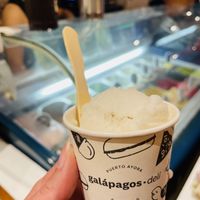 Guanabana Sorbet  at Galapagos Deli in Puerto Ayora