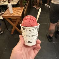 Blackberry sorbet in a cup  at Galapagos Deli in Puerto Ayora