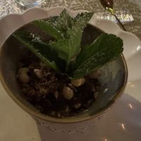 Mousse di cacao puro preparata con avocado, zero zuccheri, perfetta per chi non ama il dolce come me 🙏🏻  at MINT Cucina Fresca in Polignano A Mare