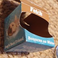 Treat left for the dog - that he got hold of before I took the picture! at Gorllan in Eglwyswrw