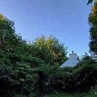 Cottage from the garden first thing in the morning at Gorllan in Eglwyswrw