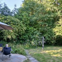 Private garden (parasol model’s own!) at Gorllan in Eglwyswrw