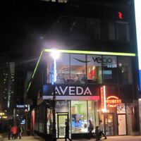 From outside at Resto Vego - McGill College in Montreal