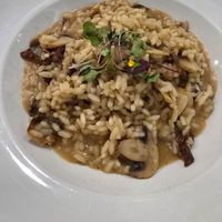 Risotto di funghi (Mushroom Risotto ask for vegan version-no dairy) at Fratello's Ristorante & Pizzeria in Idyllwild