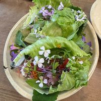   at nama to hakko - Pop Up in Kyoto