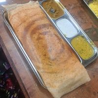 Masala dosa at Curry Affair Malaga in Malaga