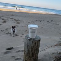  at Crib. in Perranporth