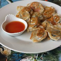 Raviolis Grillé / Dumplings at Toutofu in Paris