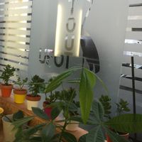 Nice athmosphere at Toutofu in Paris