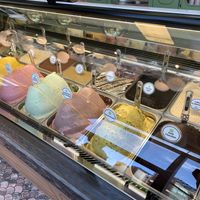 So many vegan gelato options!  at Anita in Cronulla