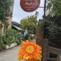   at Muoi Me Vegetarian & Vegan in Hoi An