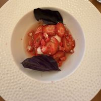 Lemon sorbet with strawberries and black basil  at Maora Restaurant - Batignolles in Paris