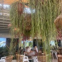   at Noma - Latchi in Paphos