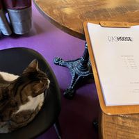   at DAS HOUSE Café & Bar in Vienna