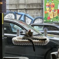 kitty  at DAS HOUSE Café & Bar in Vienna