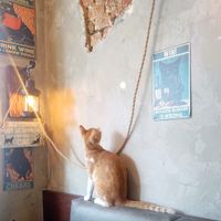  at DAS HOUSE Café & Bar in Vienna
