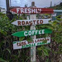  at Blackpool Coffee Bungalow in Nuwara Eliya