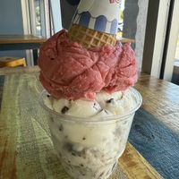 Non-dairy mint chip and cookies and cream with raspberry sorbett  at Lakeland Ice Cream Company - Lakeland Highlands Rd in Lakeland