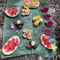 Fruit snack   at Sumatra Orangutan Explore in Bukit Lawang