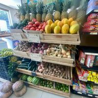 Organic produce at Organico in Nosara