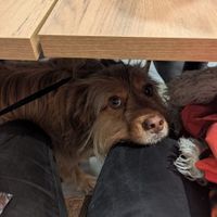  at Oh My Vegan in Madrid