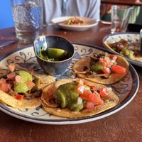 Oesterzwam taco’s  at Los Tontos Mexican Cantina in Zemst