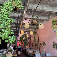   at Kava DSM in Des Moines