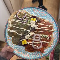 Mushroom divorced  at TU MEXICO in Krakow