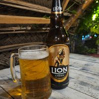 Lions larger at Royal Tasty Cafe in Dambulla