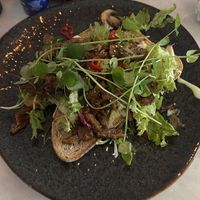   at Hare of the Dog in Haarlem