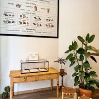 Menu  at lentulus in Mallorca