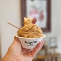  at lentulus in Mallorca