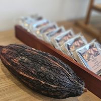  at lentulus in Mallorca