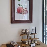  at lentulus in Mallorca