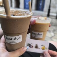  at lentulus in Mallorca