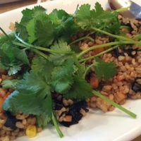 fried rice... very yummy! at Blossom Vegan Restaurant in Pleasanton