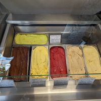 Sorbets at Delicious Raw by Gabriela Oltean in Brasov