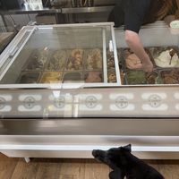   at The Scoopery in Jedburgh